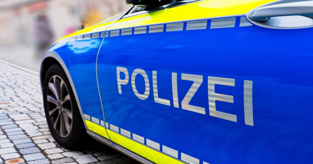 Jongen overlijdt na aanrijding met bus, moeder denkt dat het om haar andere zoon gaat.