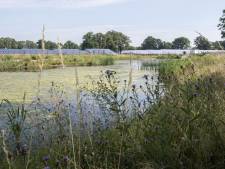 Buurtschappen: Berkelland is regie kwijt over zonneparken. ‘Ze geven je gelijk, maar niemand doet iets!’ 