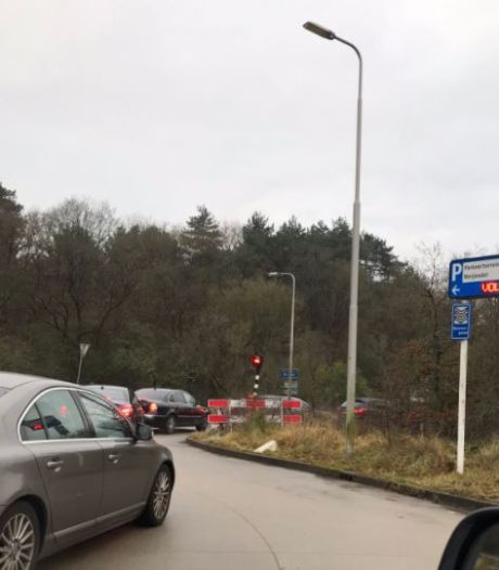 dagjesmensen herontdekken natuurgebieden we zien drukte terug in gedrag van dieren den haag ad nl