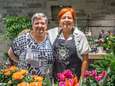 Marielle (56) neemt 75 jaar oude bloemenwinkel ‘Mariëtte’ over: “Zo mooi dat ons levenswerk niet verloren gaat”