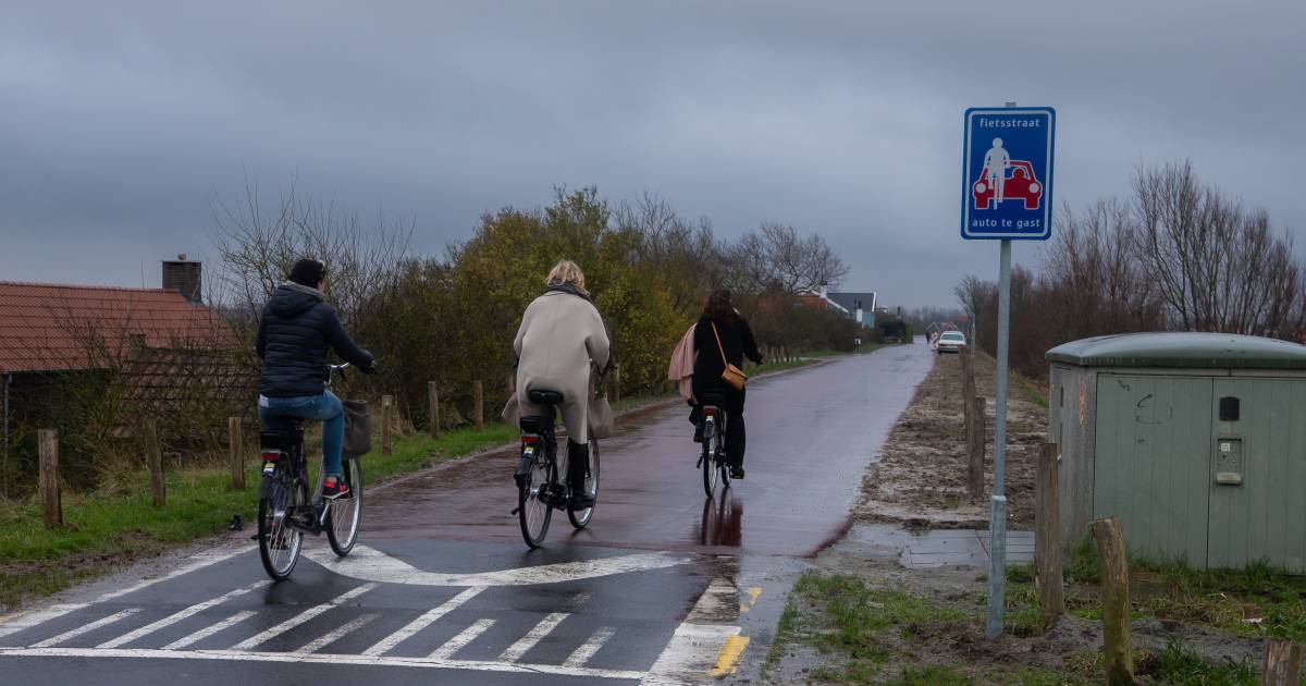 Masterplan Nieuwvliet: wat is er al gebeurd en wat staat nog op de planning