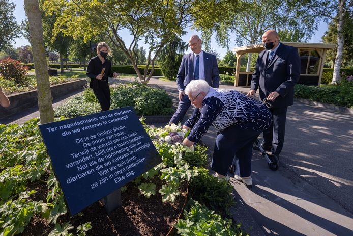 In het Overijsselse Kampen werd eerder dit jaar al een boom van hoop geplant.