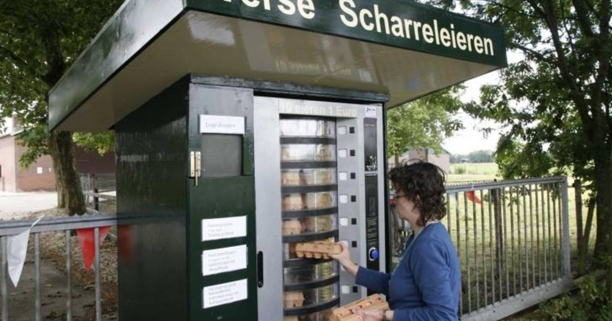 Eitje uit de muur is kakelvers succes