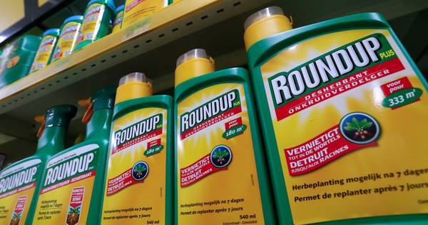 Onderzoeker over omstreden gif Roundup: 'Je kan het gewoon in de tuin gebruiken' - De Stentor