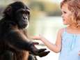 “Kleine aapjes”: peuters delen 95 procent van gebaren met chimpansees