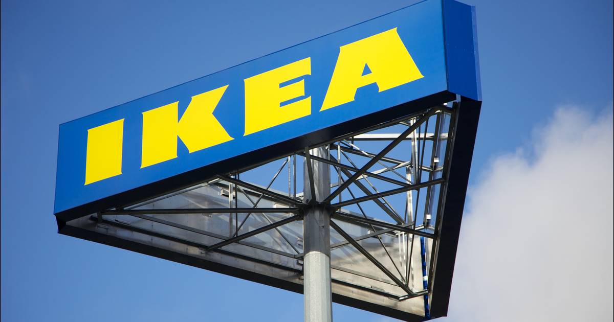 ontwikkelen Rommelig Wolf in schaapskleren Hoofddesigner onthult: "Dit is het beste product bij Ikea" | Consument |  hln.be