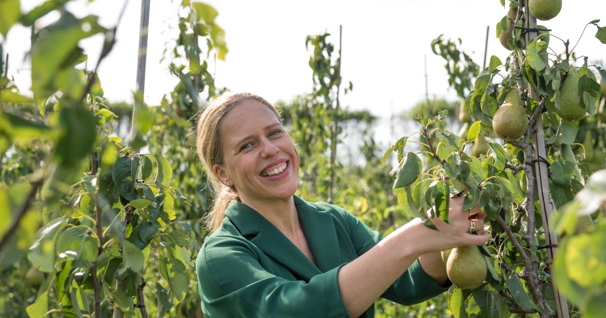 Minister Schouten maakt afgebroken werkbezoek Zeeland af