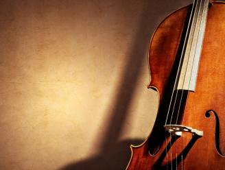 Samenwerking DSO-Ensemble met eindproef viool resulteert in concert