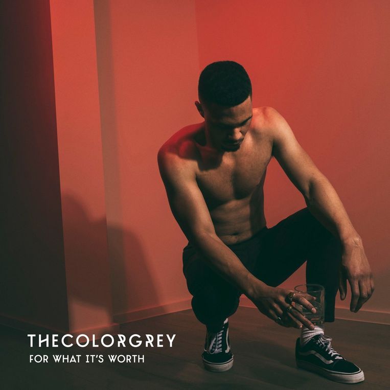 TheColorGrey's nieuwe EP 'For What It's Worth'. Beeld rv