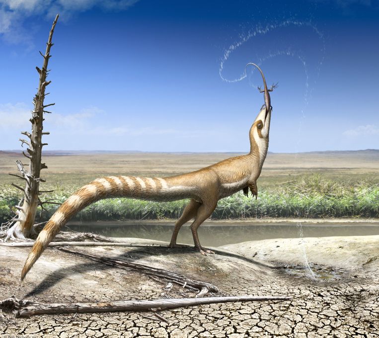 Artistieke impressie van de Sinosauropteryx, een kleine, gevederde dinosaurus.