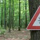 Slecht nieuws: jagende reuzenteek nu ook in Nederland gespot