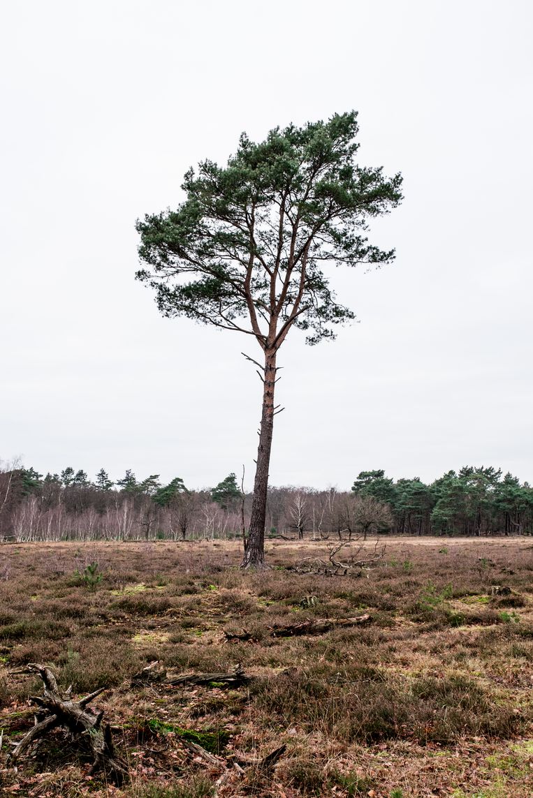 null Beeld Jan Mulders