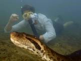 Freek Vonk ontdekt nieuwe anacondasoort in Amazone
