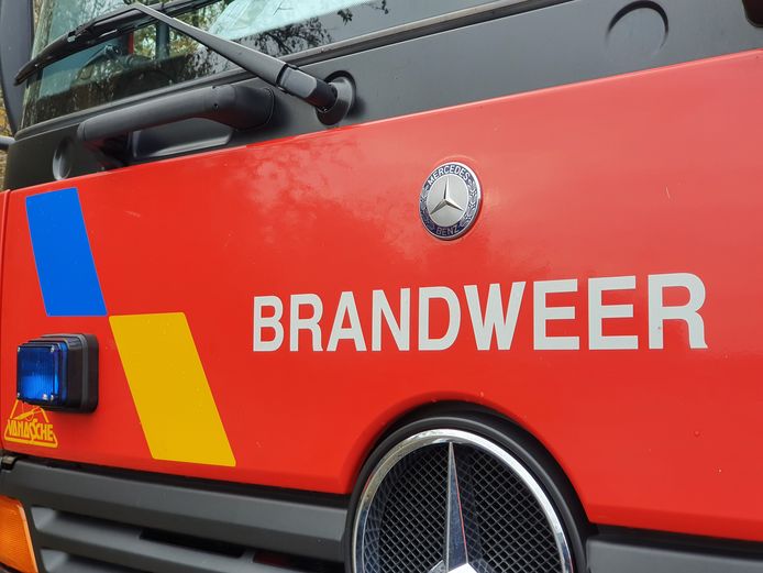 Themabeeld