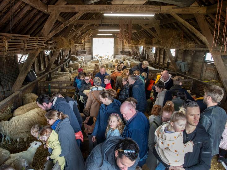 Lammetjesdag dit jaar in alles voorbode van het voorjaar