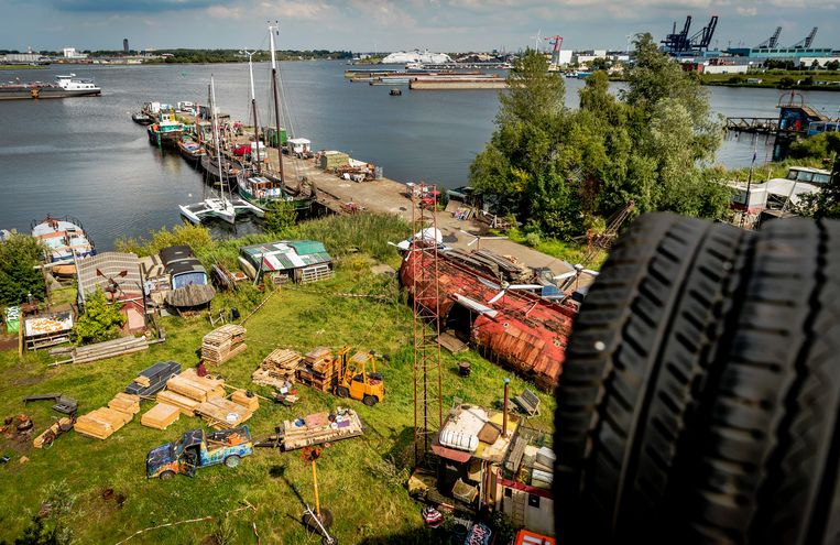 Het ADM-terrein was tot 2019 gekraakt, waardoor volgens huidige eigenaar Wim Beelen het terrein niet kon worden ontwikkeld. Beeld Remko de Waal/ANP
