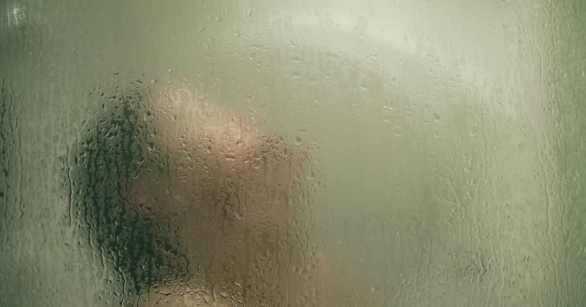 Dit is waarom iedereen moet stoppen douchen, volgens professor | | AD.nl