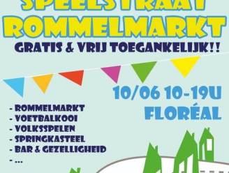 Rommelmarkt van Floréal op 10 juni in Ronse