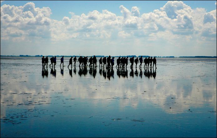Wadlopen bij Schiermonnikoog. Foto ter illustratie.
