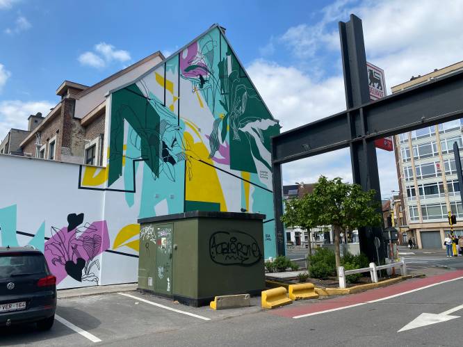 Nieuwe muurschildering fleurt parking van Delhaize op aan de Watersportbaan