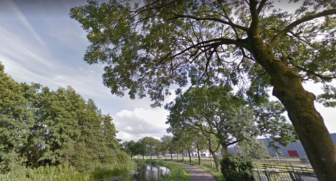 De essen aan de Trekvaart in IJsselmuiden in betere tijden.