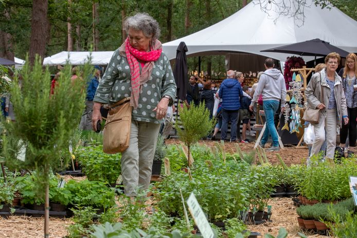 Organisatie 'Laatste zondag Bloem &amp; Tuin in Nuenen was topdag