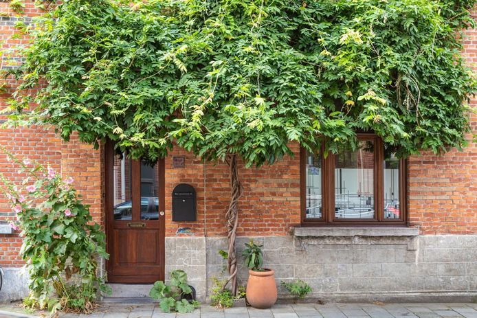 Voorbeeld van een eerder aangelegde geveltuin in Gent.