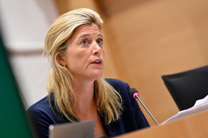 Minister van Binnenlandse Zaken Annelies Verlinden (CD&V).
