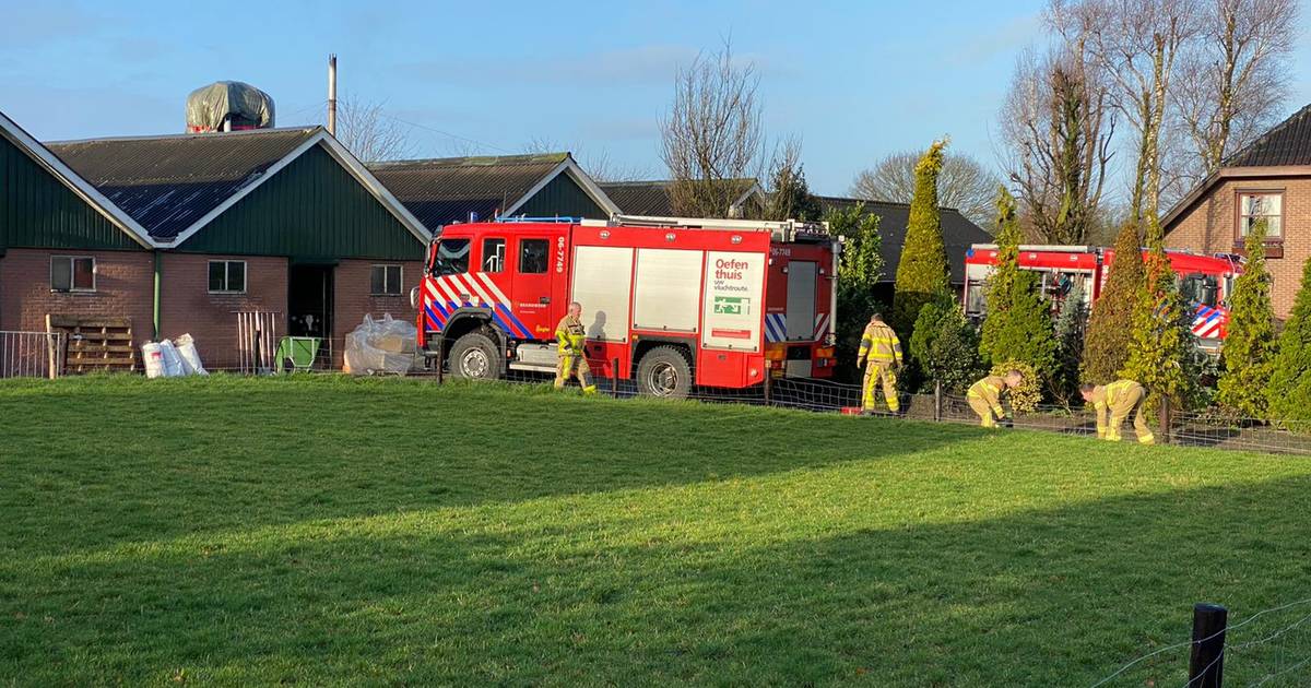 Weer Elspeet Per Uur Dieren ongedeerd bij stalbrand in Elspeet, wel veel rook in de schuur