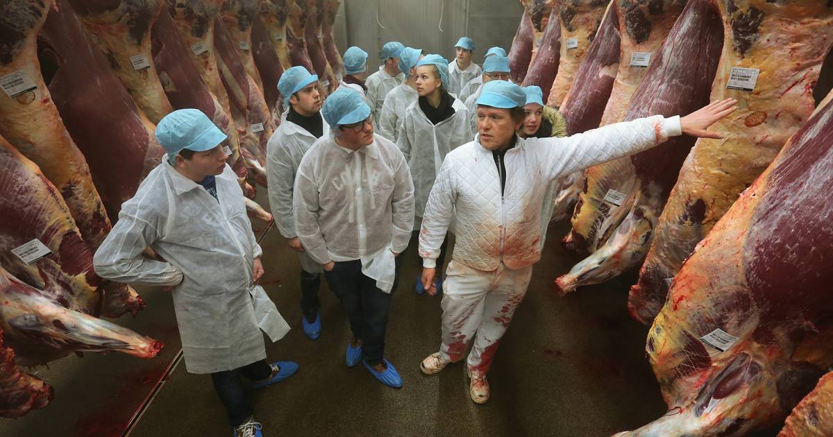 Omstreden vleesfabriek uit Dodewaard zou bloed in grondwater hebben geloosd: ‘Vervelend ongeluk’.