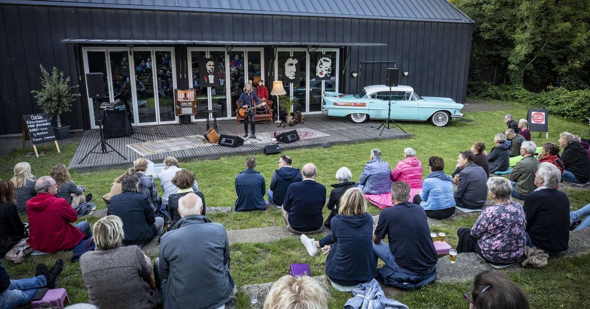 Diepenheim wil vers bloed van nieuwe kunstenaars | Hof van Twente