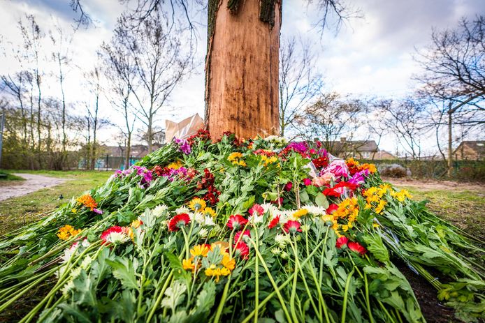 Bloemen op plek van dodelijk ongeval in Eindhoven