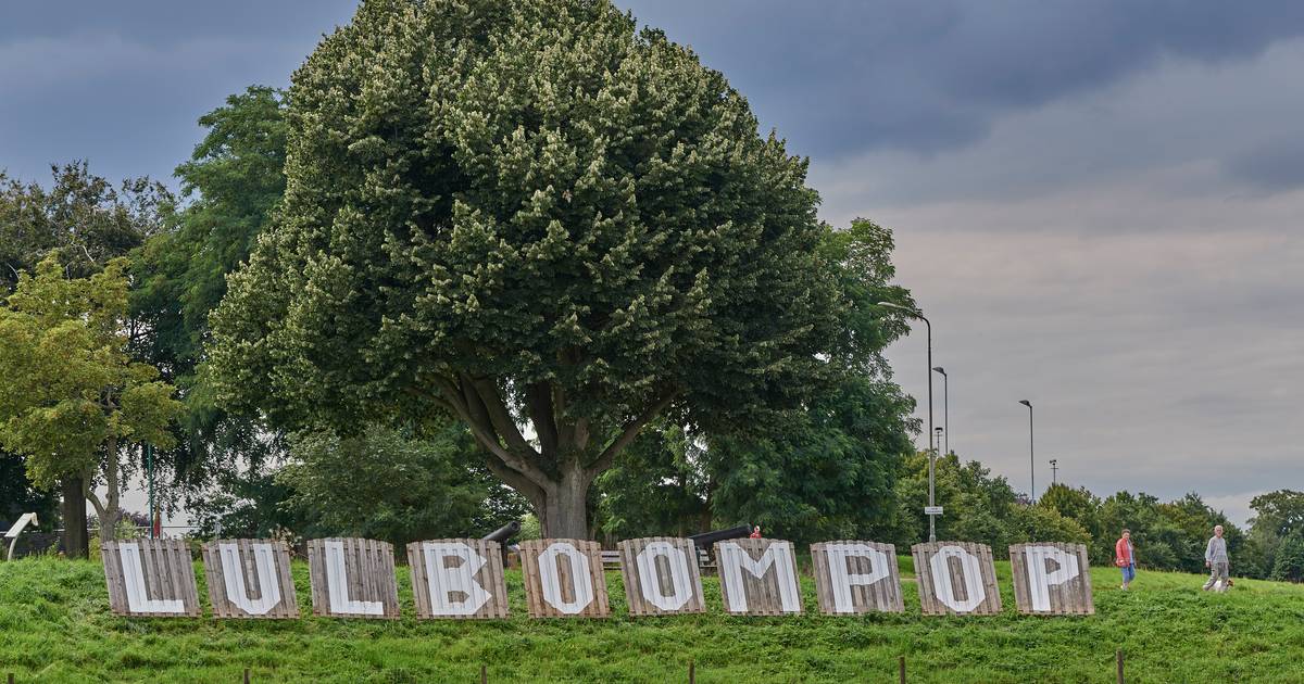 Lulboom Megen krijgt levenslange verzorging | Oss - AD