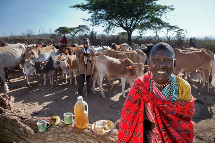 Een vrouwelijke Masaï-herder in Kenia met haar rantsoen voor één dag. Tijdens periodes van extreme droogte krijgt ze met moeite 800 calorieën per dag binnen.