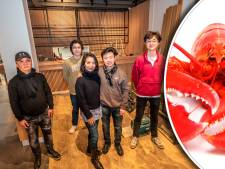 Bij dit hippe nieuwe Chinese restaurant geen rijsttafel of vettige babi pangang, maar kreeft en coquilles