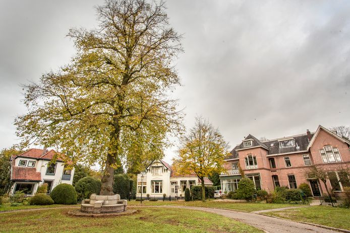 Een stel woningen in de wijk Berkeloord in Lochem gaan eind volgend jaar over op waterstofgas en worden dus van het aardgas gehaald. Dit gebeurt in het kader van een proef om te zien hoe het transport van waterstof via aardgasleidingen verloopt.