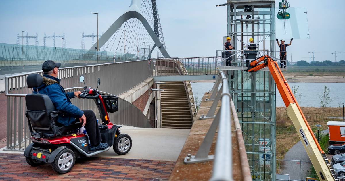 Mobility scooter il mezzo di trasporto più pericoloso: rischio di incidenti mortali maggiore rispetto a una moto |  Interno