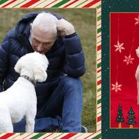 Arthur Japin vond steun bij hond tijdens huiselijk geweld