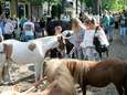 Tropische hitte dwingt paardenmarkt Alblasserdam tot maatregelen