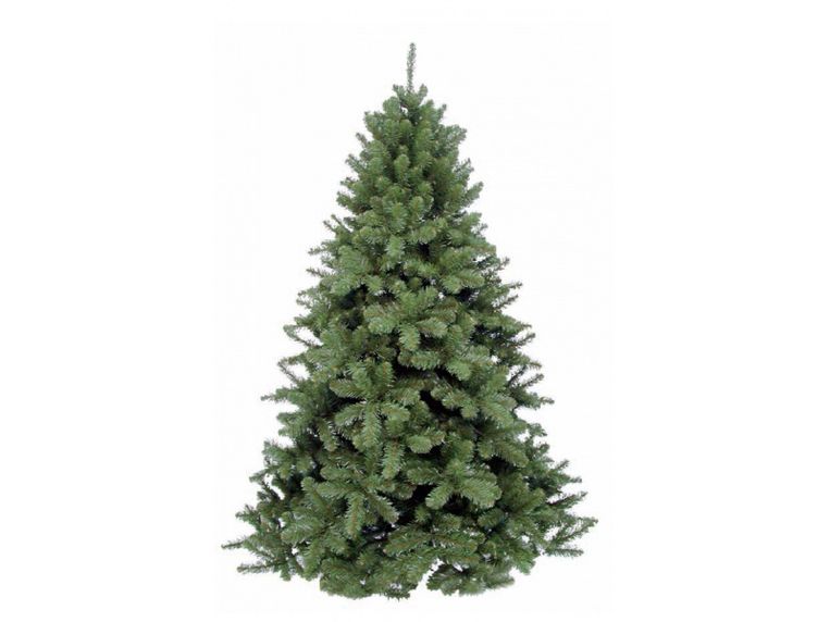 Wat Is Beter Voor Het Milieu Een Echte Of Neppe Kerstboom De Volkskrant