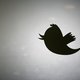 China maakt populaire twitteraars monddood