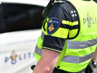 Kind zonder gordel, telefoon in de hand en rijden zonder uitlaat: het regende boetes bij de controle in Kapelle