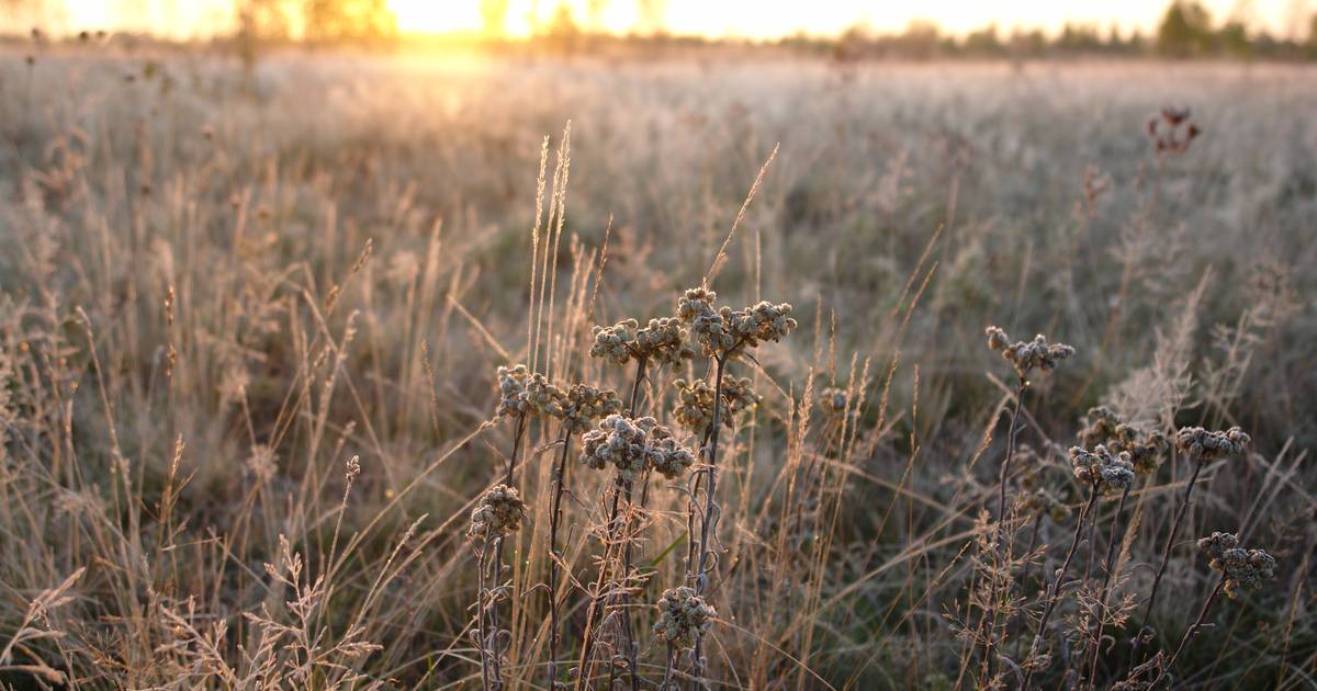 Weather report.  A fresh and sunny start to the week with some clouds appearing later in the day.  |  Science and the planet