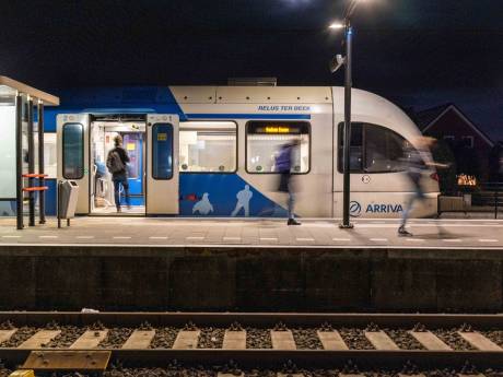 Voorwaardelijke celstraffen voor broers na zware mishandeling machinist Arriva op station Zwolle