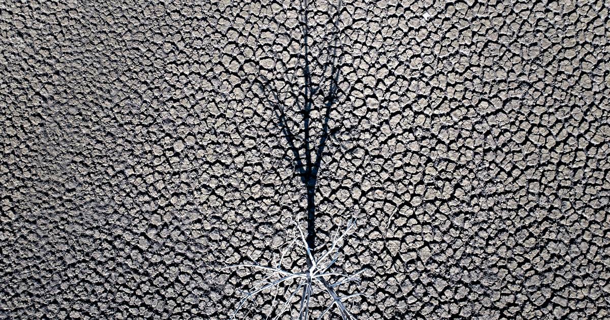 Have we already crossed the 1.5°C global warming limit?  New study suspects this: “Even 2.0°C is possible by 2030” |  Science and the planet