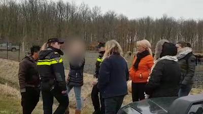 Boze actievoerders opgepakt na afschieten dier Oostvaardersplassen