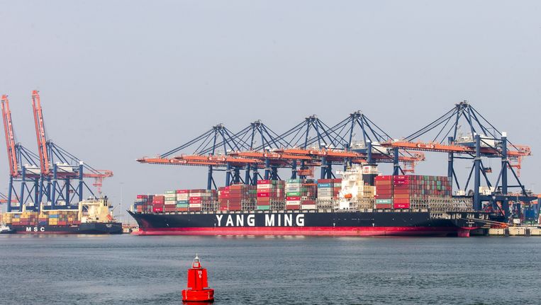 Euromax Terminal voor containeroverslag op de Maasvlakte in de Rotterdamse haven. Beeld anp