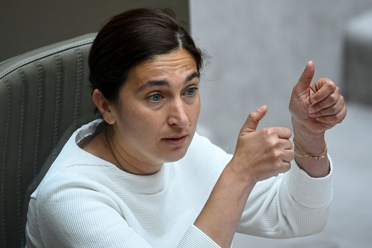 N-VA-minister Zuhal Demir. Beeld BELGA