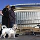 CSI Hondenpoep: Oostende haalt grof geschut boven tegen hardnekkige plaag