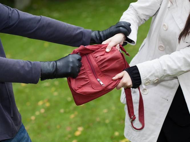 Drugsgebruikers beroven 74-jarige van handtas, maar worden gevat door getuige